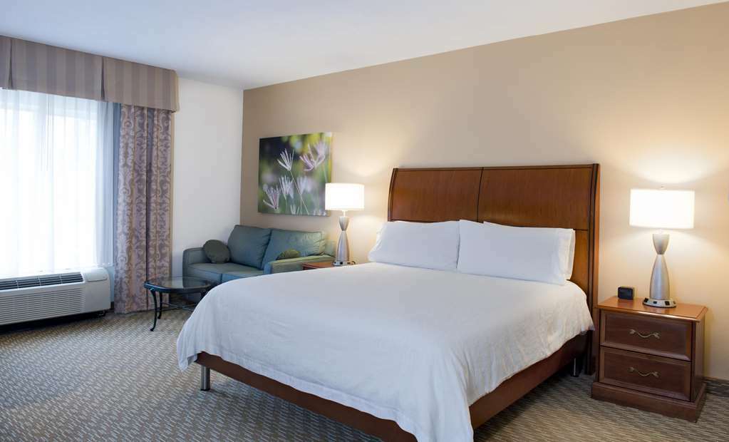 Hilton Garden Inn Charlotte North Rom bilde